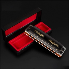 10 hole blues diatonic harmonica C key adult beginner instrument