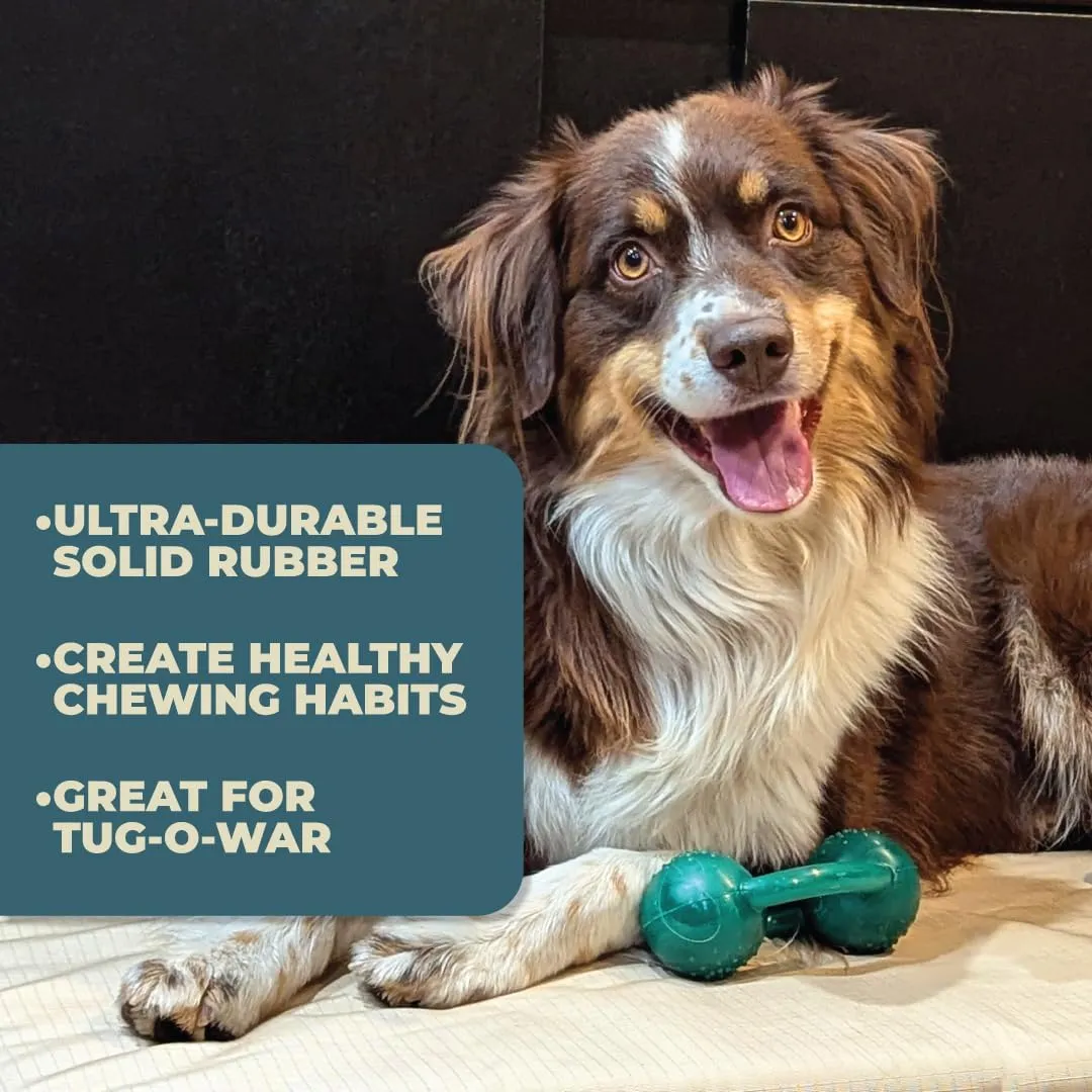 Alpha - Chew - Tough Tug-of-War Pet-Safe Rubber Dog Toy - Choose Your Color - 6" L × 2.5" W × 3.5" H (Blue)