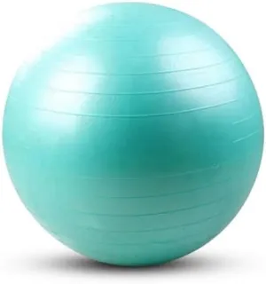 Anti-Burst Stability Exercise Ball – Thick PVC, 2200 lb Capacity, Non-Slip Surface for Yoga, Pilates, Strength Training & Balance Workouts (55cm)