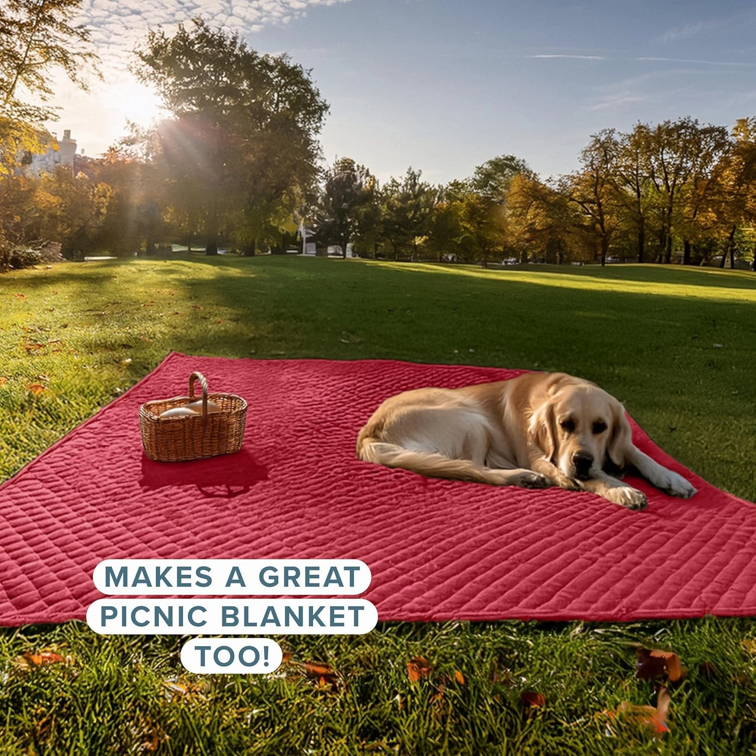 Bare Home Premium 2 Piece Quilt Set - Coverlet Set - Diamond Stitched Bedspread - Ultra-Soft Luxurious Lightweight All Season Bedspread (King/Cal King, Red)