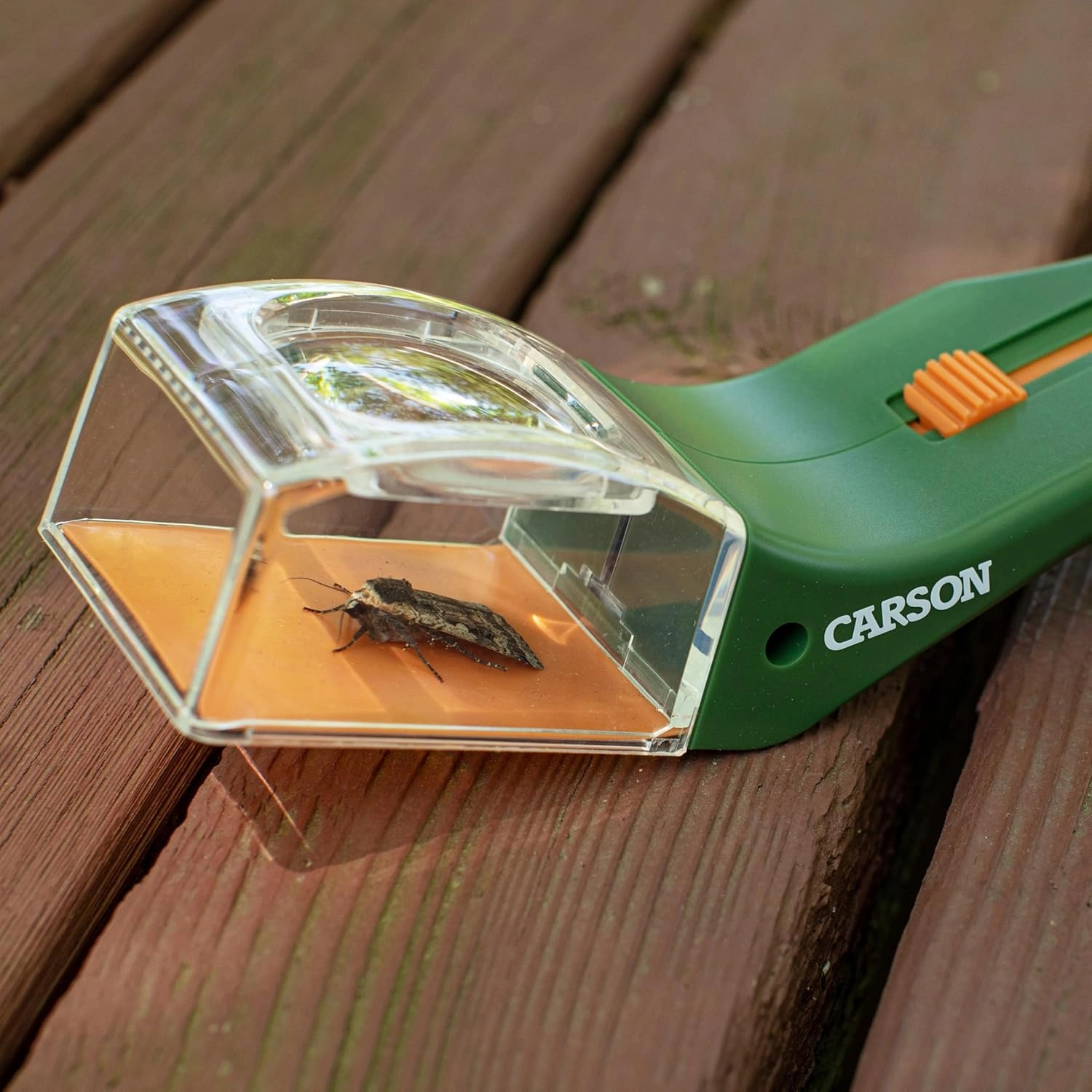 Carson BugView 5x Magnifier Quick-Release Bug Catching Tool, Stem Educational Toy for Kids and Adults (HU-10)