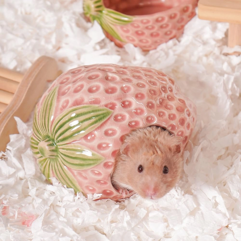 Ceramic Hamster Hideout, Strawberry Hamster House and Habitat, Syrian Hamster Hideout Decor Cool Bed for All Season Gerbil, Mice Guinea Pig