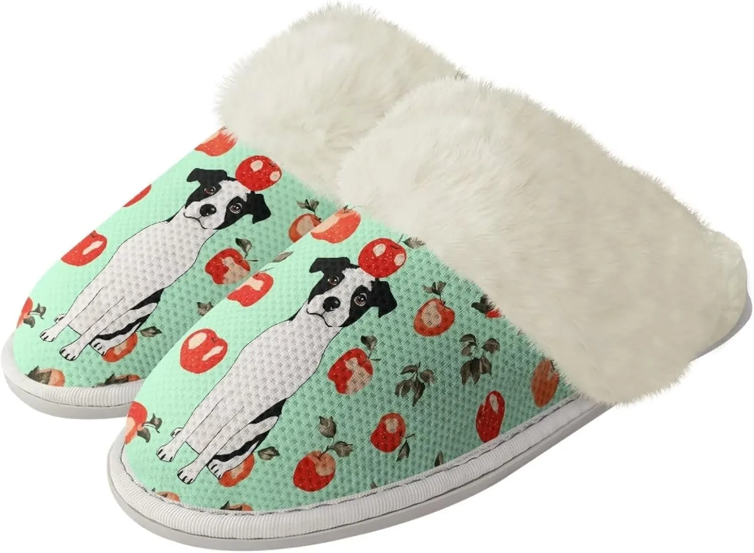 Coloranimal Womens Slippers Fuzzy Slippers Women Warm Slippers House Shoes with Soft Plush Comfy Bedroom Shoes Casual Winter Slippers
