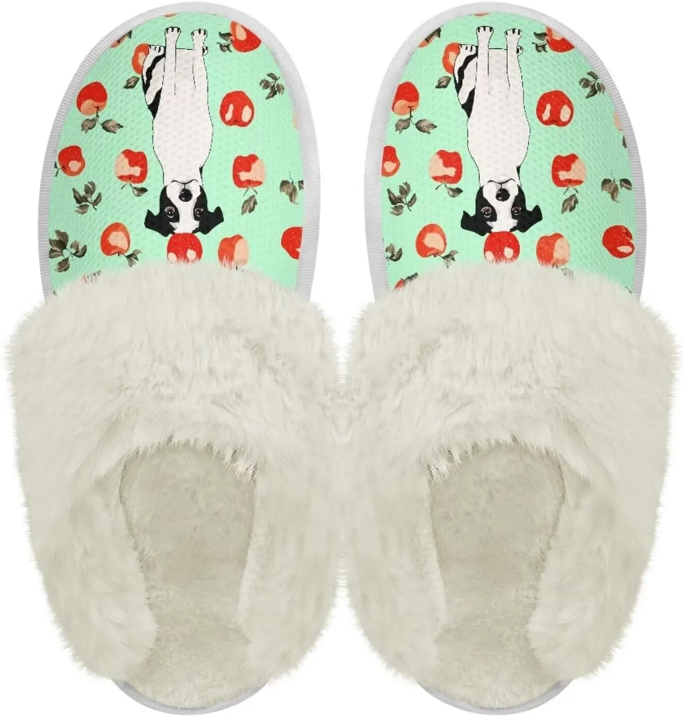 Coloranimal Womens Slippers Fuzzy Slippers Women Warm Slippers House Shoes with Soft Plush Comfy Bedroom Shoes Casual Winter Slippers