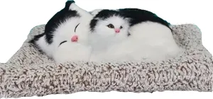 Cute Soft Animal Cuddle Gift White and Black cat Plush offerspring plushies Kitty Toy for Kids