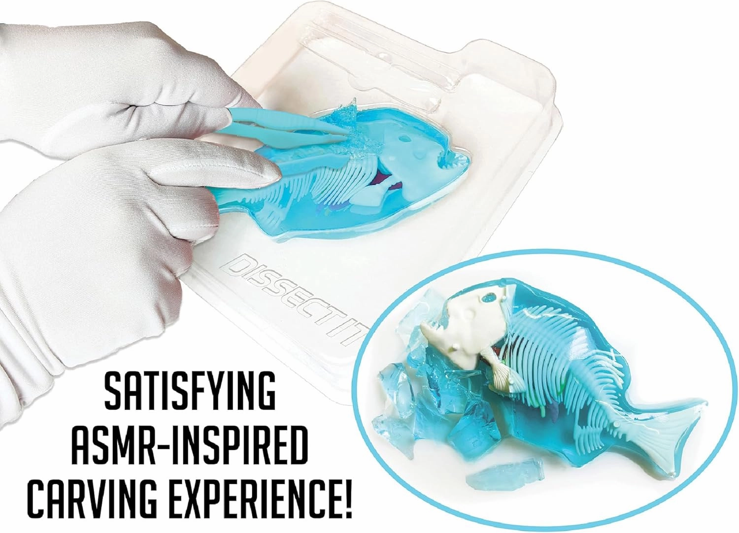 Dissect-It Simulated Synthetic Lab Dissection Toy, STEM Projects for Kids Ages 6 , Animal Science, Biology, Anatomy Home Learning Kit, Great for Young Scientists! - Piranha