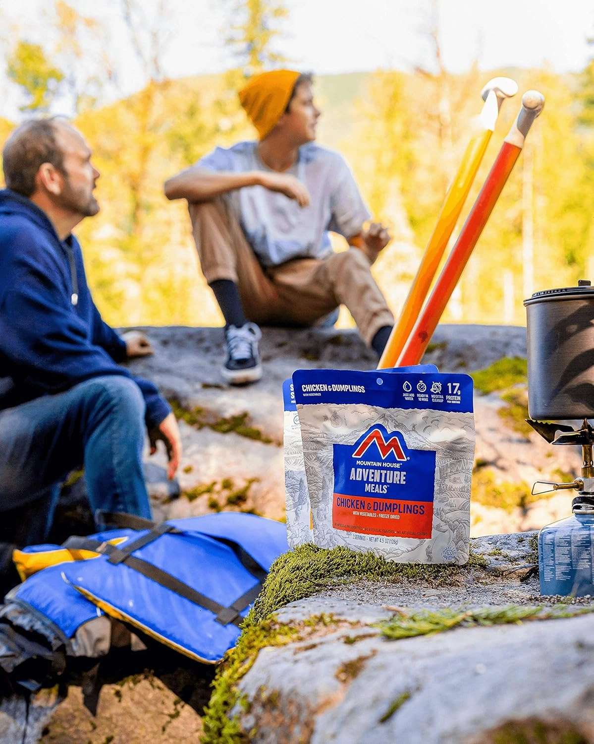 Mountain House Chicken Teriyaki with Rice (2 Servings) | Freeze Dried Backpacking & Camping Food