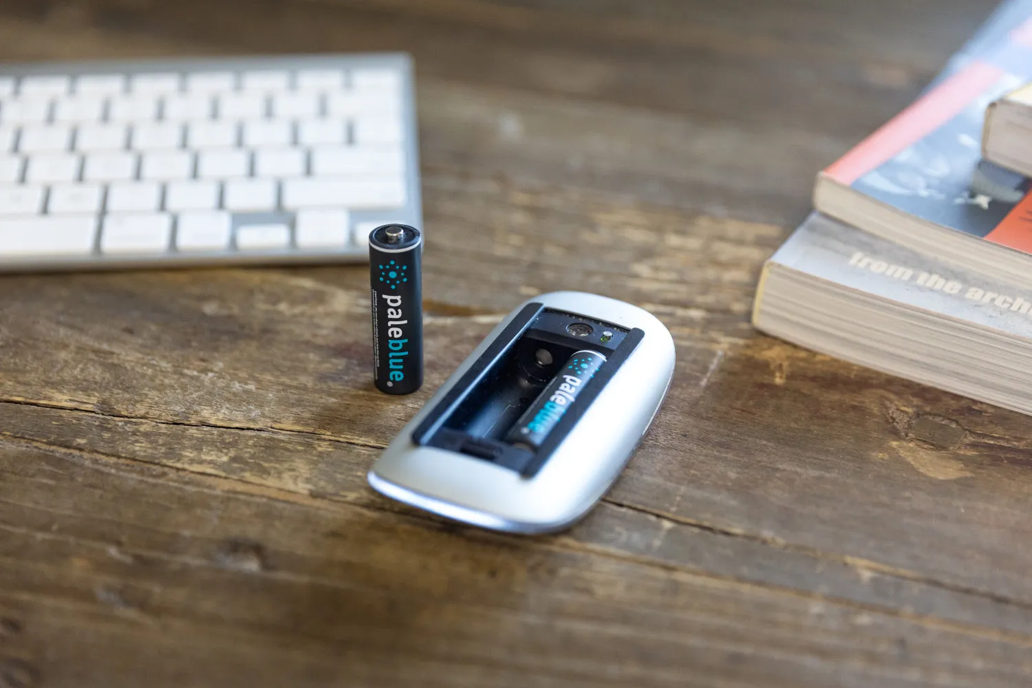 Pale Blue Earth AA USB-C Rechargeable Batteries