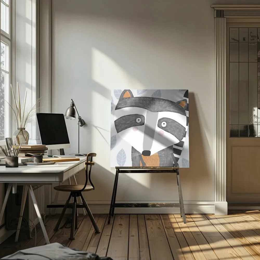 Raccoon Face Drawing