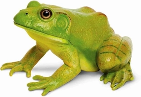 Safari Ltd. American Bullfrog Figurine - Realistic 4.75" Model Figure - Educational Toy for Boys, Girls, and Kids Ages 18M 