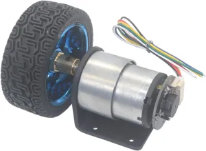 Smart Speed JGB37-520 Tiny Motor Small Engine Models Robot Electric Barbecue All Metal Gear Mini 4wd Car Geared Airplane Model Motor Kit Geared Torque (Color : 12v, Size : 330RPM)