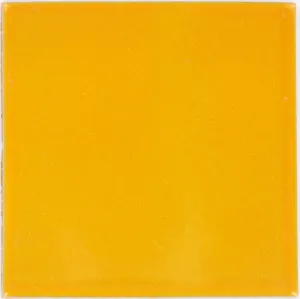 Terra Nova Mediterraneo Solid Tile: Squash