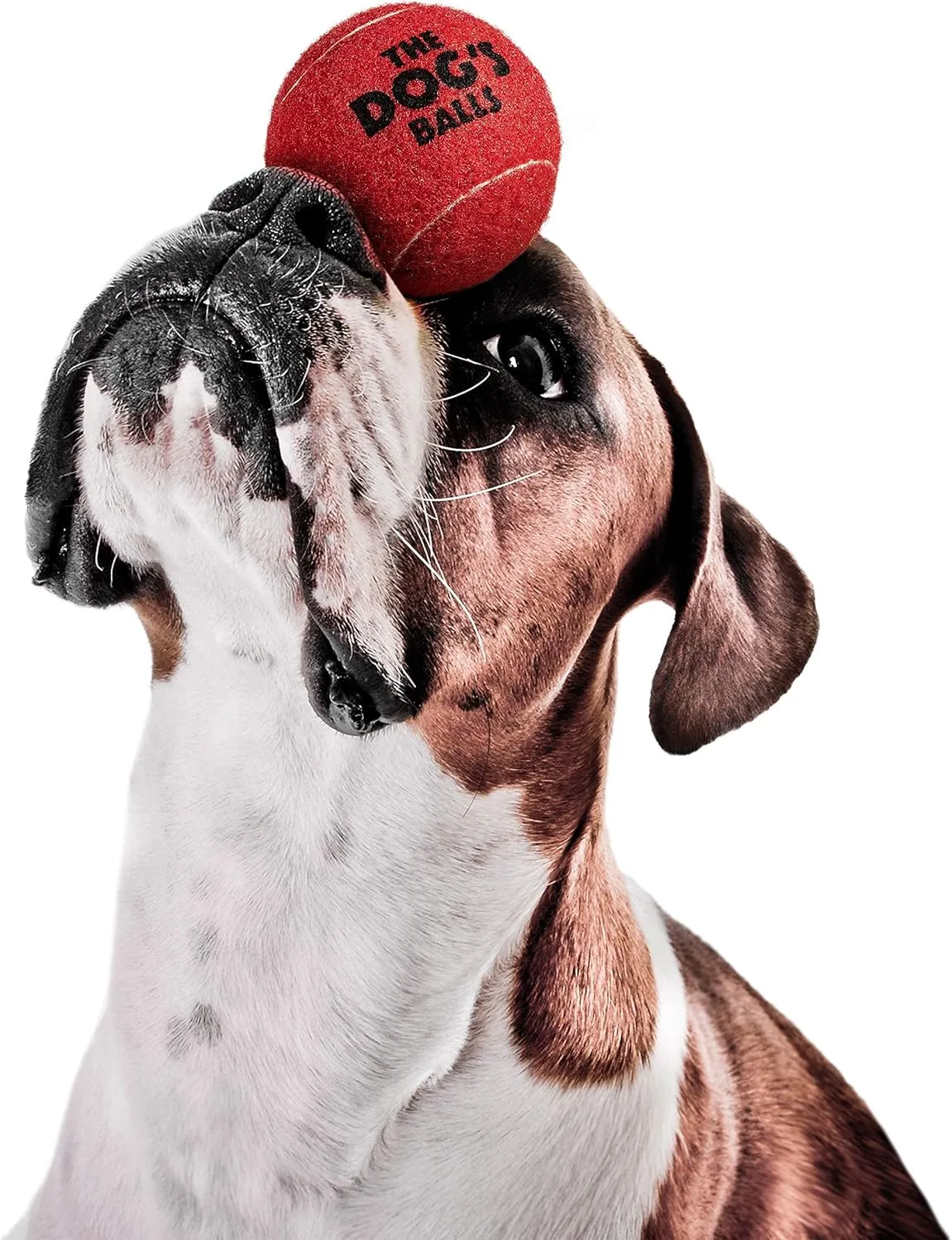 The Dog's Balls 12-Pack Red Dog Tennis Balls, 2.5 Inch Diameter Dog Toy, Medium Breed, Fetch Toy